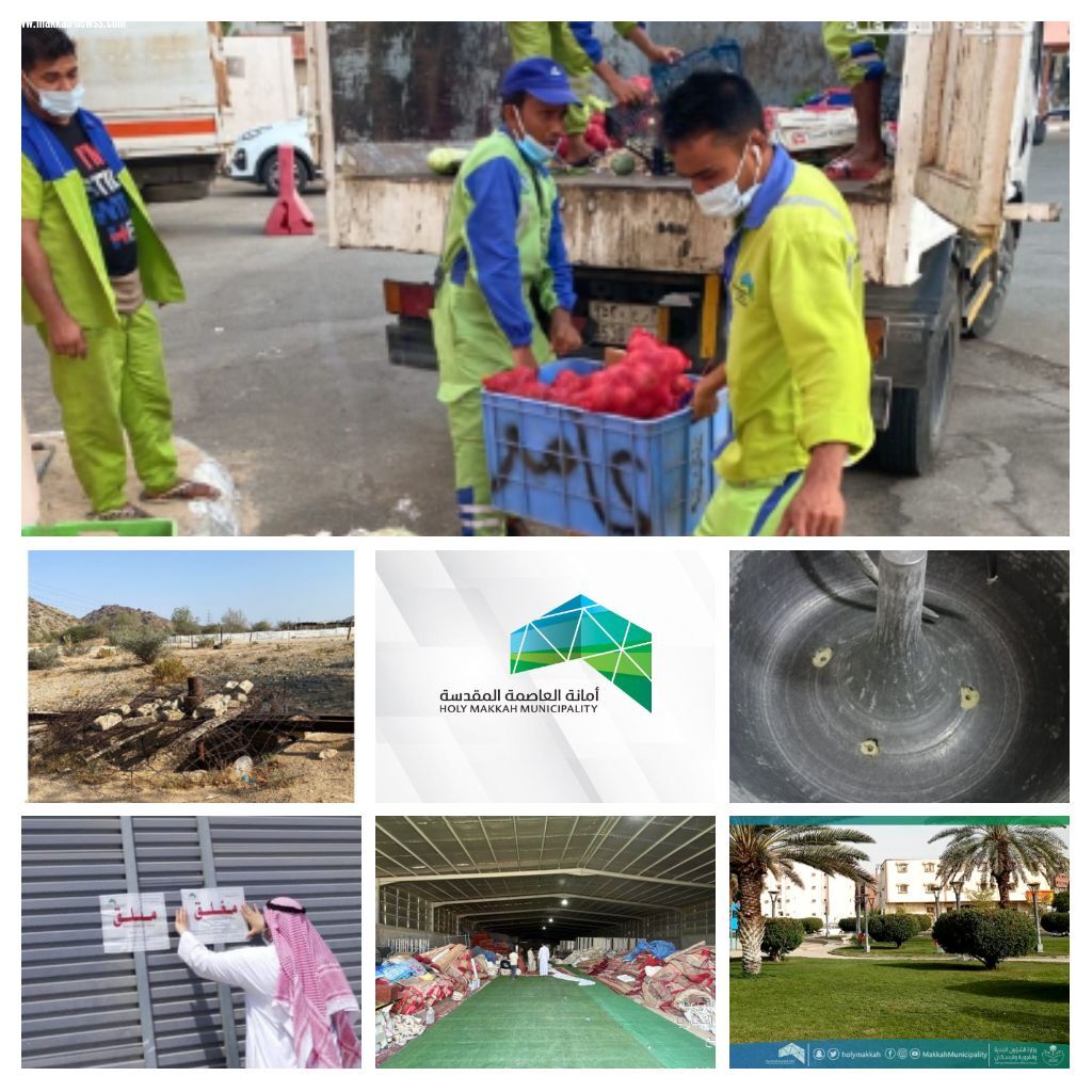 برامج وجولات لأمانة العاصمة المقدسة ضد المخالفين للنظام 