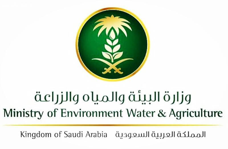 البيئة تصرف أكثر من 62 مليون ريال (الدفعة التاسعة ) لدعم أكثر من 70‎%‎ من الدجاج اللاحم بالمملكة