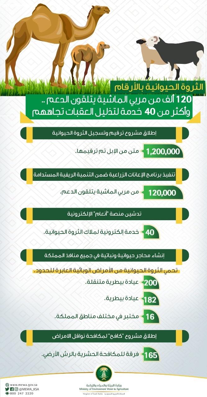 من اسباب قلة الثروة الحيوانية في المملكة العربية السعودية