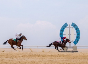 ميدان فروسية الجبيل يقيم خامس سباقاته للموسم الحالي ١٤٤٢هـ