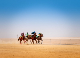 ميدان فروسية الجبيل يقيم ثالث سباقاته للموسم الحالي ١٤٤٢هـ