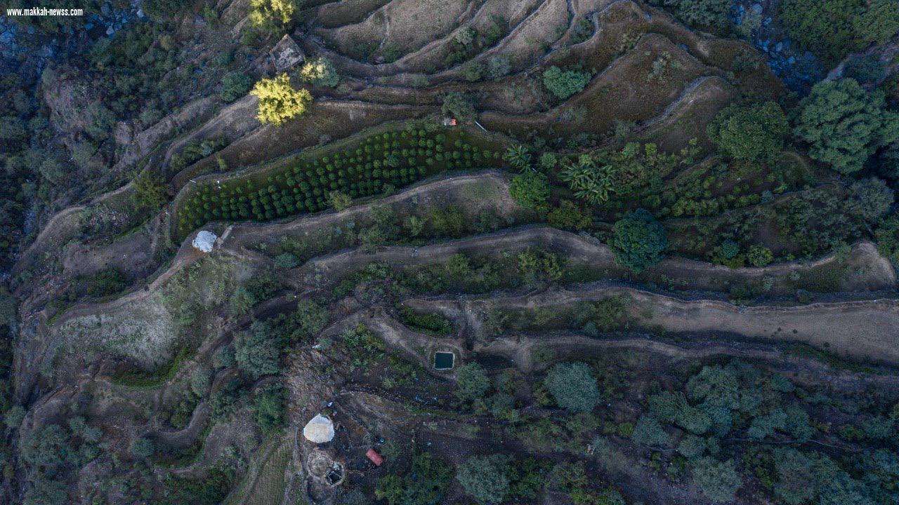 بالصور.. جبال الداير 