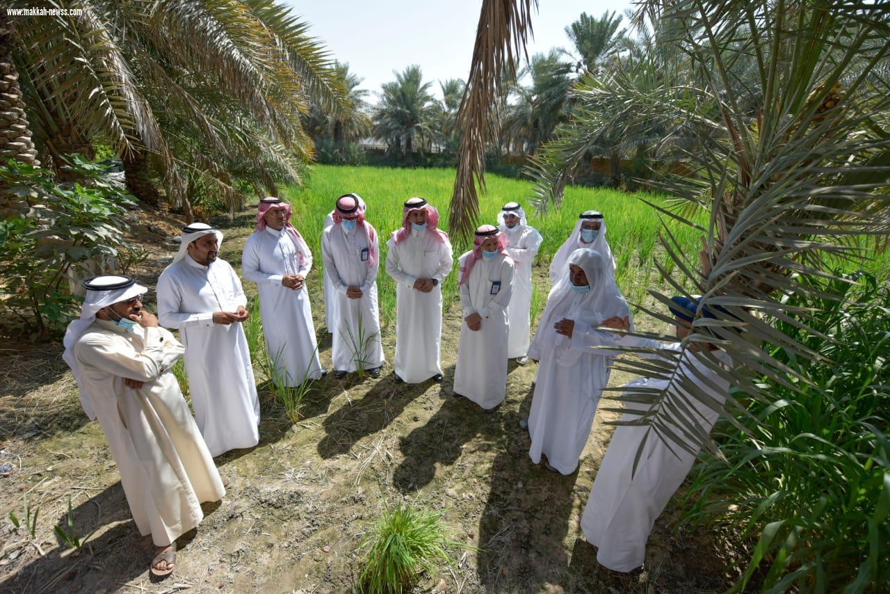 احتفاءً بيوم الزراعة العربي.. 