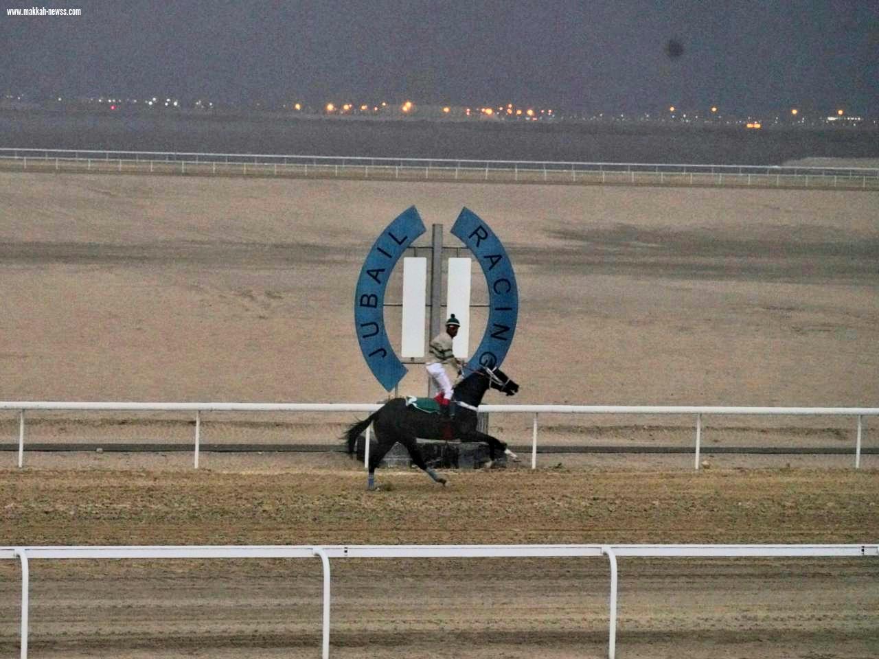 انطلاق أولى سباقات ميدان فروسية الجبيل للموسم الحالي ١٤٤٢هـ