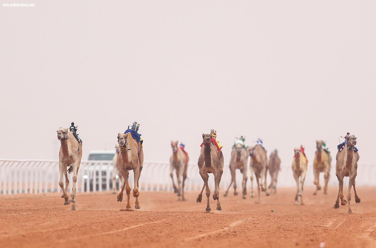 سمو وزير الرياضة يتوج الفائزين في ختام منافسات سباق رماح للهجن