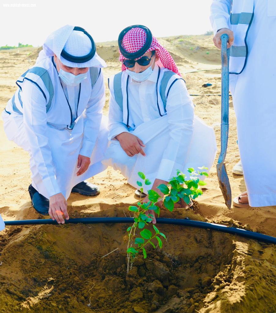 مكتب وزارة الرياضة بمنطقة جازان يشارك في حملة التشجير لنجعلها خضراء بمدينة جيزان