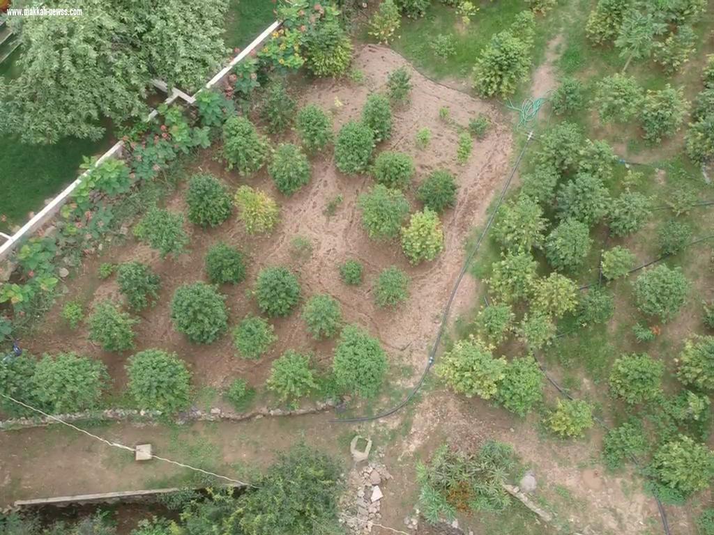 بالصور.. جبال الداير 