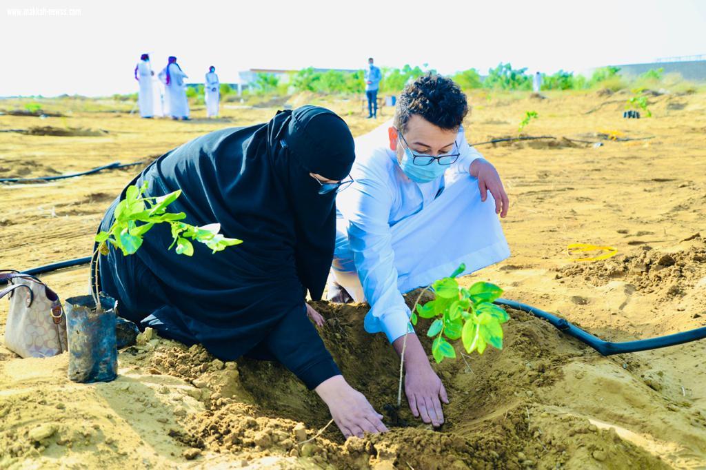 مكتب وزارة الرياضة بمنطقة جازان يشارك في حملة التشجير لنجعلها خضراء بمدينة جيزان