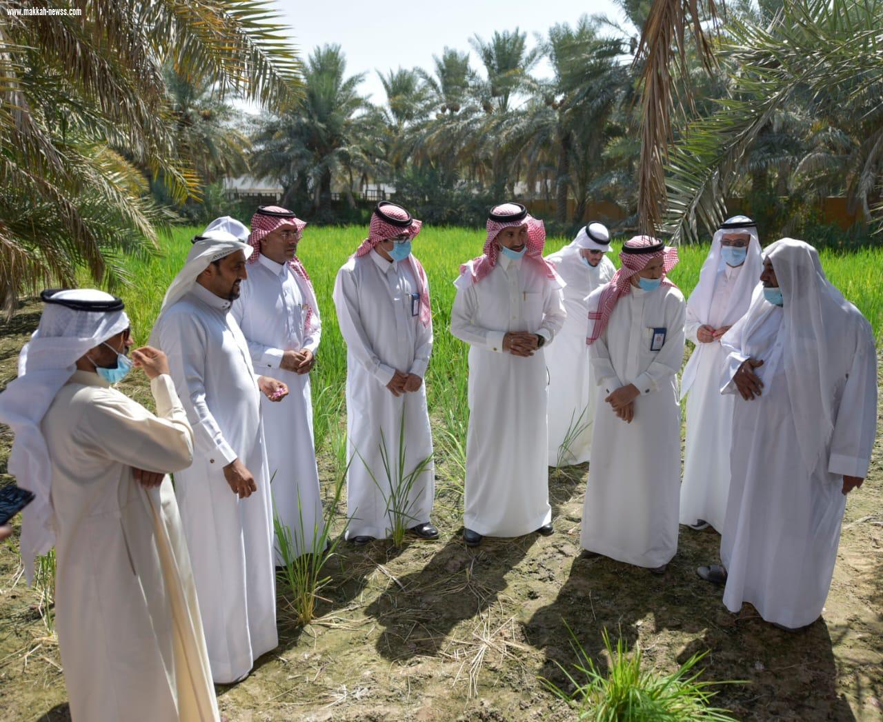 احتفاءً بيوم الزراعة العربي.. 