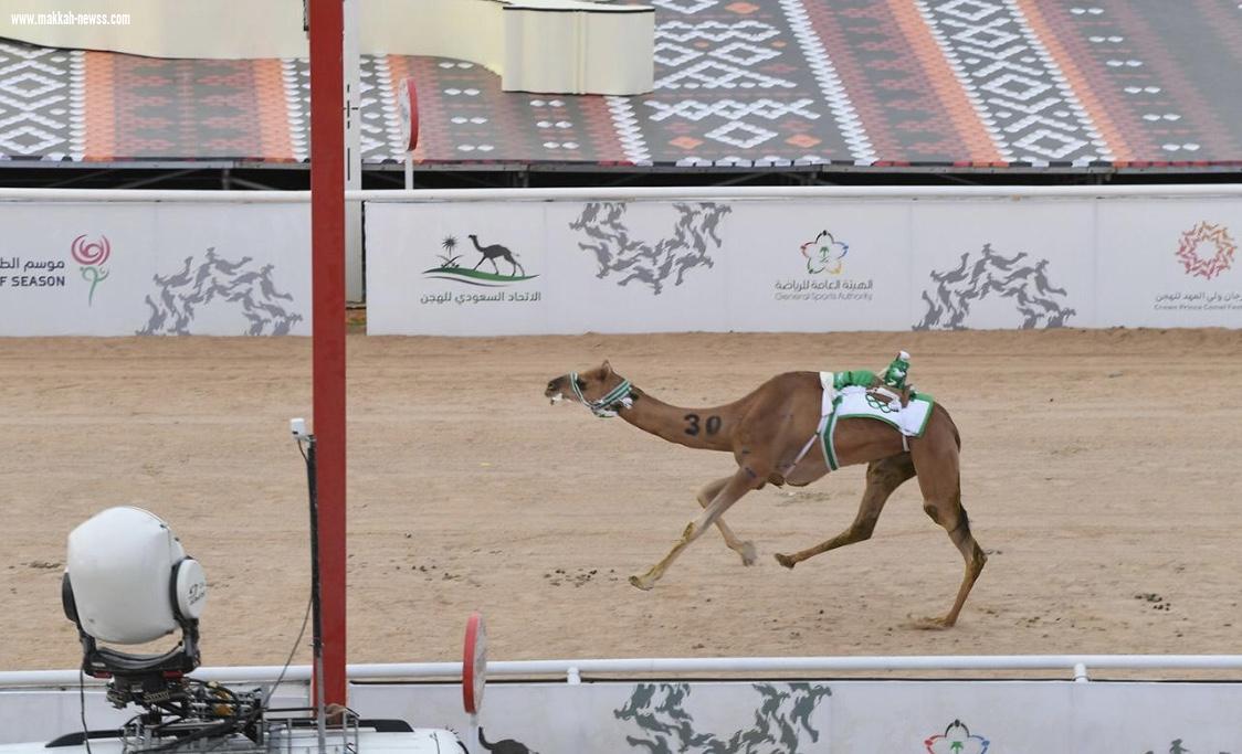 سمو ولي العهد يرعى الحفل الختامي لمهرجان سموه للهجن في نسخته الثانية