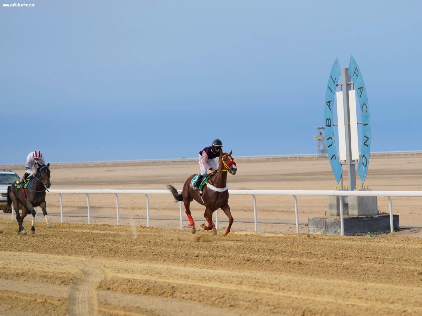 انطلاق أولى سباقات ميدان فروسية الجبيل للموسم الحالي ١٤٤٢هـ