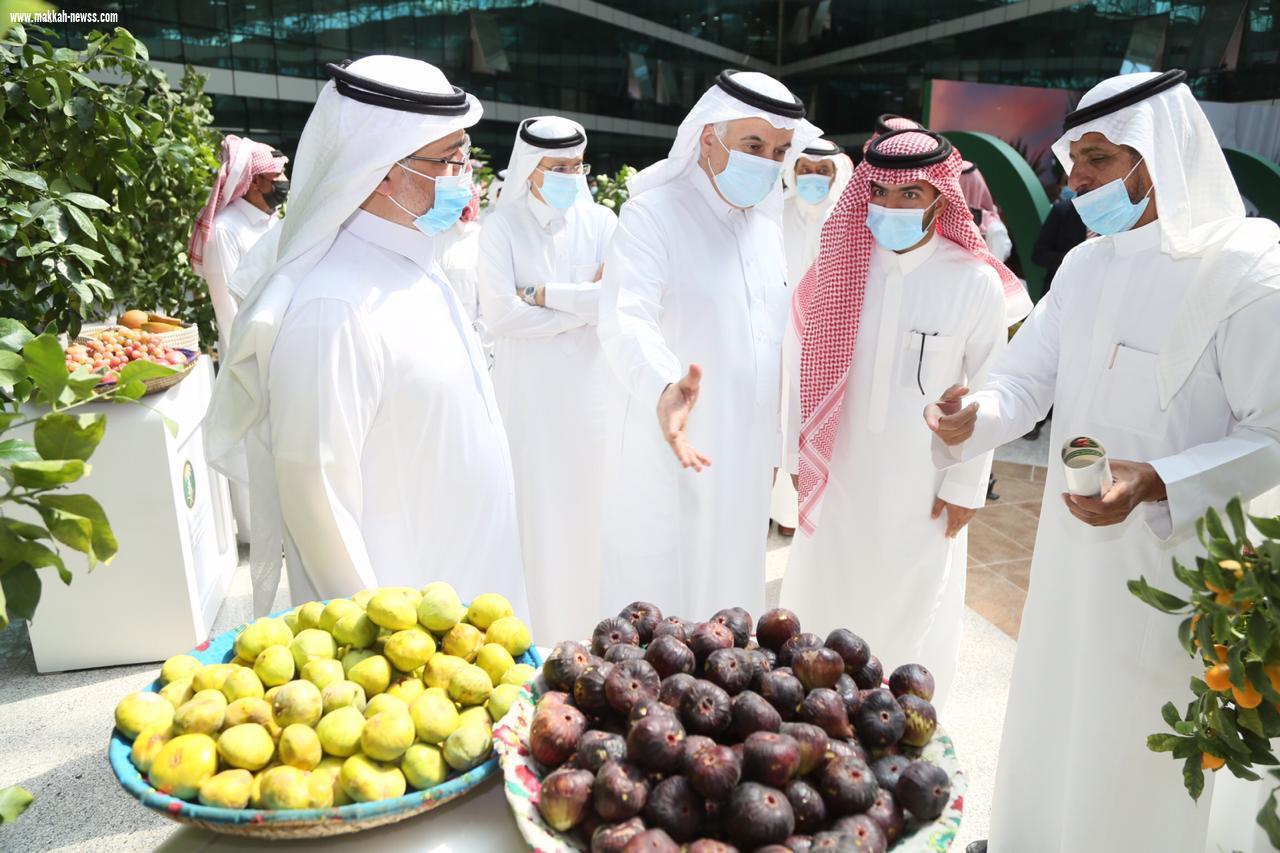 البيئة تنظم ورشة تعريفية حول مشروع الأبحاث التطبيقية في مجال النخيل والتمور والمحاصيل الواعدة