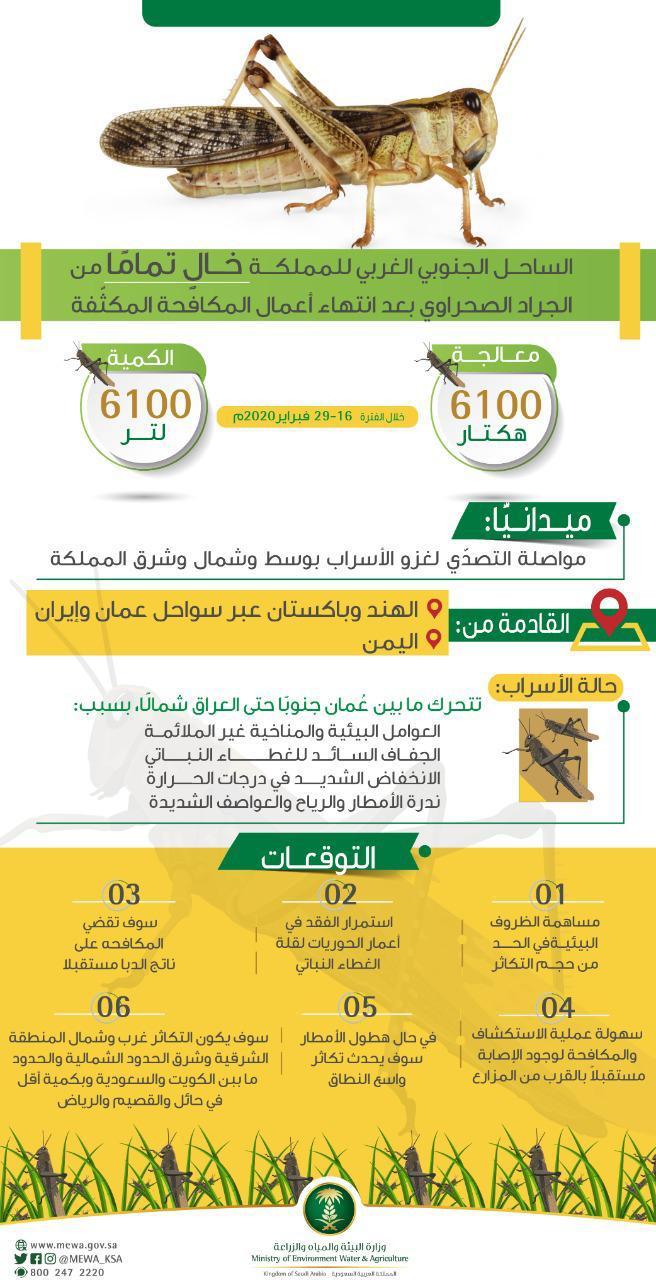 البيئة
