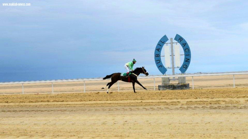 انطلاق أولى سباقات ميدان فروسية الجبيل للموسم الحالي ١٤٤٢هـ