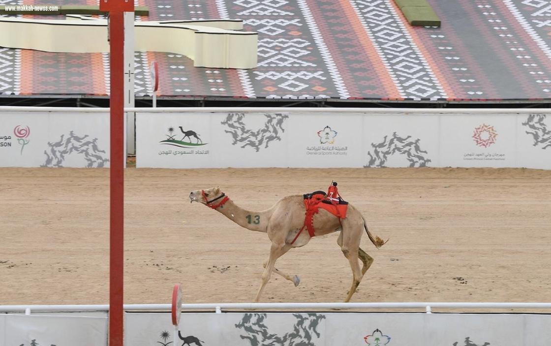 سمو ولي العهد يرعى الحفل الختامي لمهرجان سموه للهجن في نسخته الثانية