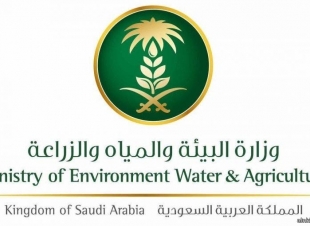 البيئة تضبط كميات كبيرة من الحطب المحلي المستخدم للنشاط التجاري بالرياض