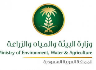 البيئة