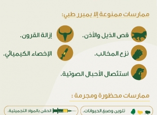 حظر 8 ممارسات قاسية تضر بالحيوانات في المملكة